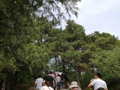 -普陀宗乘之庙(小布达拉宫)