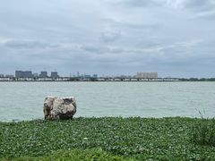 -阳澄湖半岛旅游度假区