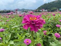 -新安江山水画廊风景区