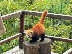 -乐和乐都主题乐园