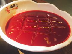鲜鸭血-重庆高老九火锅(大世界店)