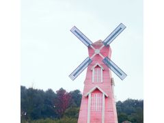 -铁山坪森林公园