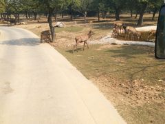 -西安秦岭野生动物园