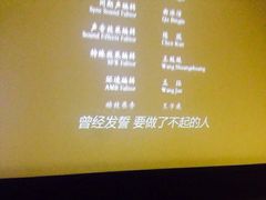 中影国际影城株洲天元神农太阳城店-中影国际影城(神农万达广场CINITY店)