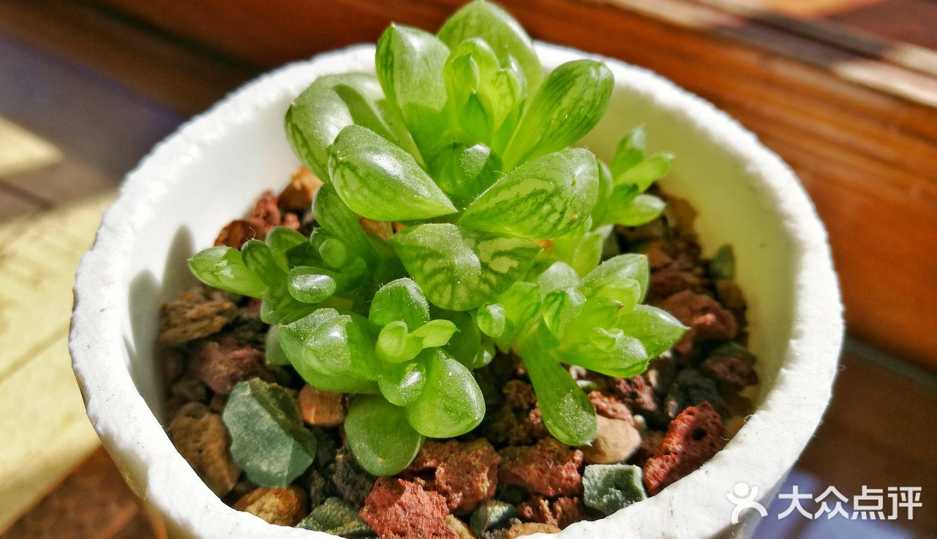 入坑3年 感谢你们的陪伴