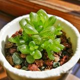 入坑3年 感谢你们的陪伴