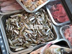 -品雅轩农家乐
