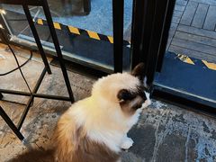 -咖法森林·咖啡  酒吧(天河店)