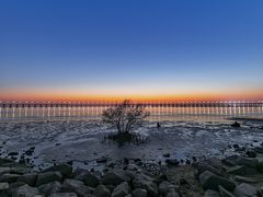 -宝安西湾红树林湿地公园