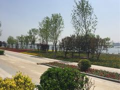 -武清南湖绿博园