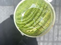 -茉酸奶(春熙路店)