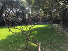 -上海宋庆龄故居纪念馆