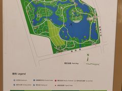 -大兴滨河森林公园