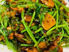 xo酱炒香菜辣-老江南春·中国龙菜(衡山路店)