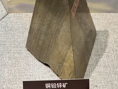 -甘肃地质博物馆