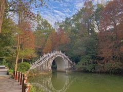 -深圳仙湖植物园
