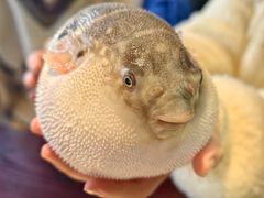 -永安鱼庄·镇江菜(东吴路店)