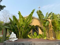 -光明小镇欢乐田园