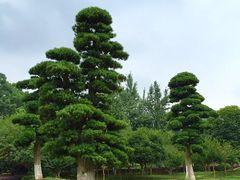 -韶山毛泽东同志故居