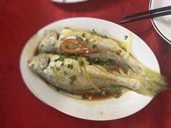 -蛇口康乐快餐鱼仔档(翠苑小区店)