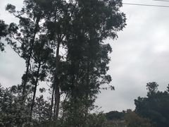 -广州市白云山风景名胜区