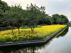 -蠡湖大桥公园