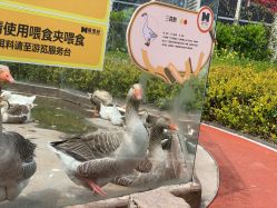 -造物庄园 萌宠纪(苏州湾歌林公园店)