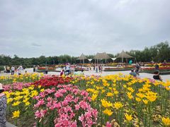 -长春公园(普阳街道)