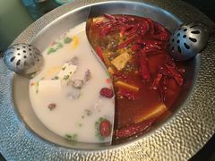 -麻田会 ·鲜活现烹·牛蛙火锅(珠江新城维家思广场店)