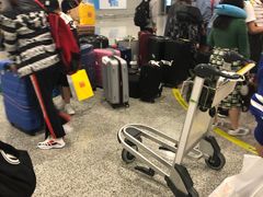 -上海浦东国际机场-T2航站楼