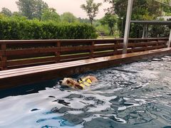 -太阳岛度假酒店