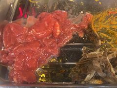 -金鼎雪山牦牛杂火锅(理县总店)