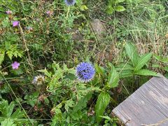 -白草畔自然风景区