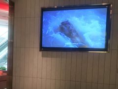 -阿五黄河大鲤鱼(海尚店)