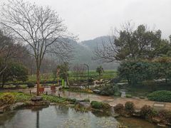 -中国茶叶博物馆(双峰馆区)