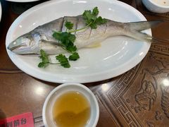 -长平肥姐白粥·海鲜打冷