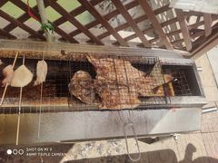 -尚庄度假村·庭台树下·户外烧烤·团建CS·轰趴营地(上庄水库店)