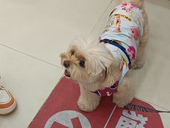 -御宝贝24h宠物医院·转诊中心·CT核磁血透中心(厦门总院)