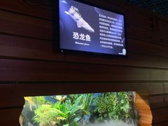 -太平洋海底世界