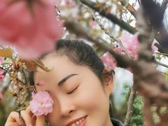 -湖南嵩云山国家森林公园