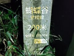 -梧桐山风景名胜区