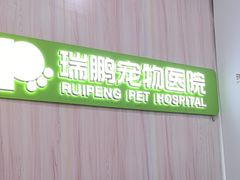 -瑞鹏宠物医院·微创内窥镜·骨外科·牙科(翠竹分院)