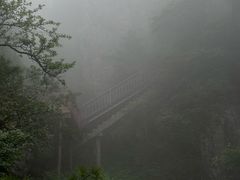 -秦岭天竺山生态文化旅游景区