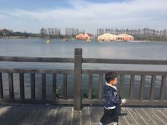 -上海长兴岛郊野公园