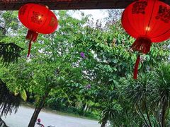 -兴隆槟榔园休闲农庄