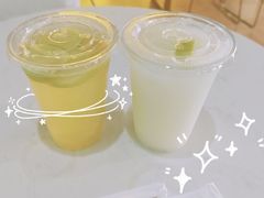 -Husky Go! 哈士奇体验馆·宠物咖啡厅狗咖