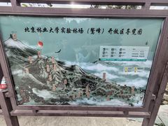 -北京鹫峰国家森林公园
