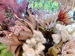 -二酉书店TOYOU BOOKS