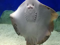 -福州罗源湾海洋世界旅游区