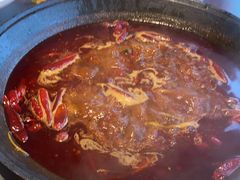 -朱光玉火锅馆(正弘城店)